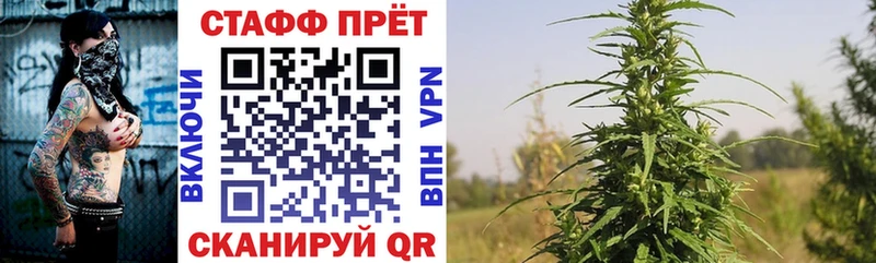 Где купить наркоту Новое Девяткино ГАШ  МЕГА   Alpha-PVP  Меф  МАРИХУАНА 