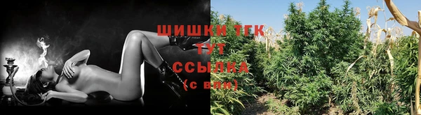 трава Волоколамск