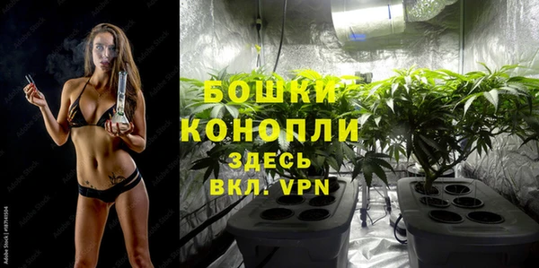 эйфоретик Верея