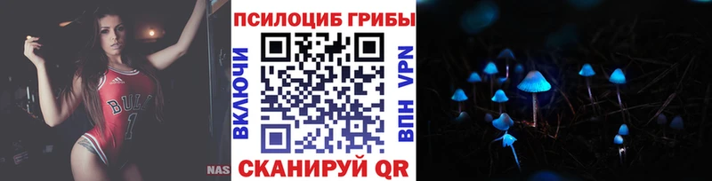 блэк спрут купить цена Новое Девяткино Галлюциногенные грибы ЛСД